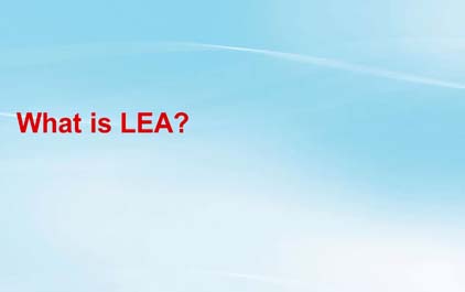 什么是低能耗加速器（LEA）外设？